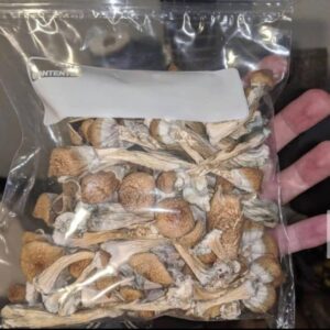 Koh Samvi (super strain)